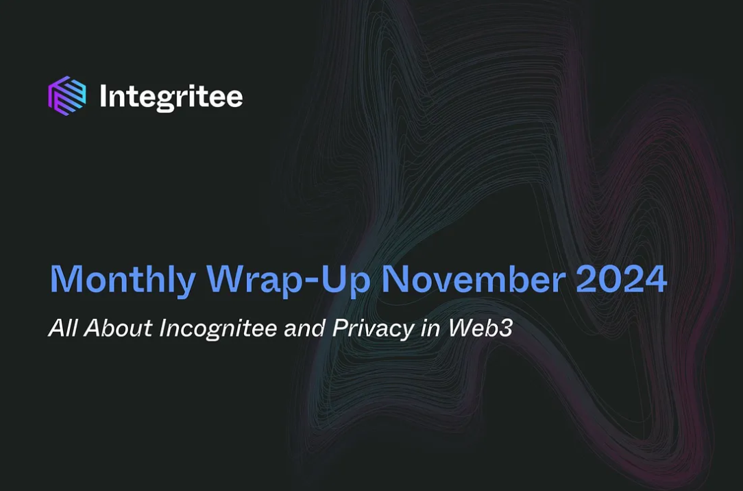 Monthly Wrap-Up November 2024: All about Incognitee and Privacy in Web3