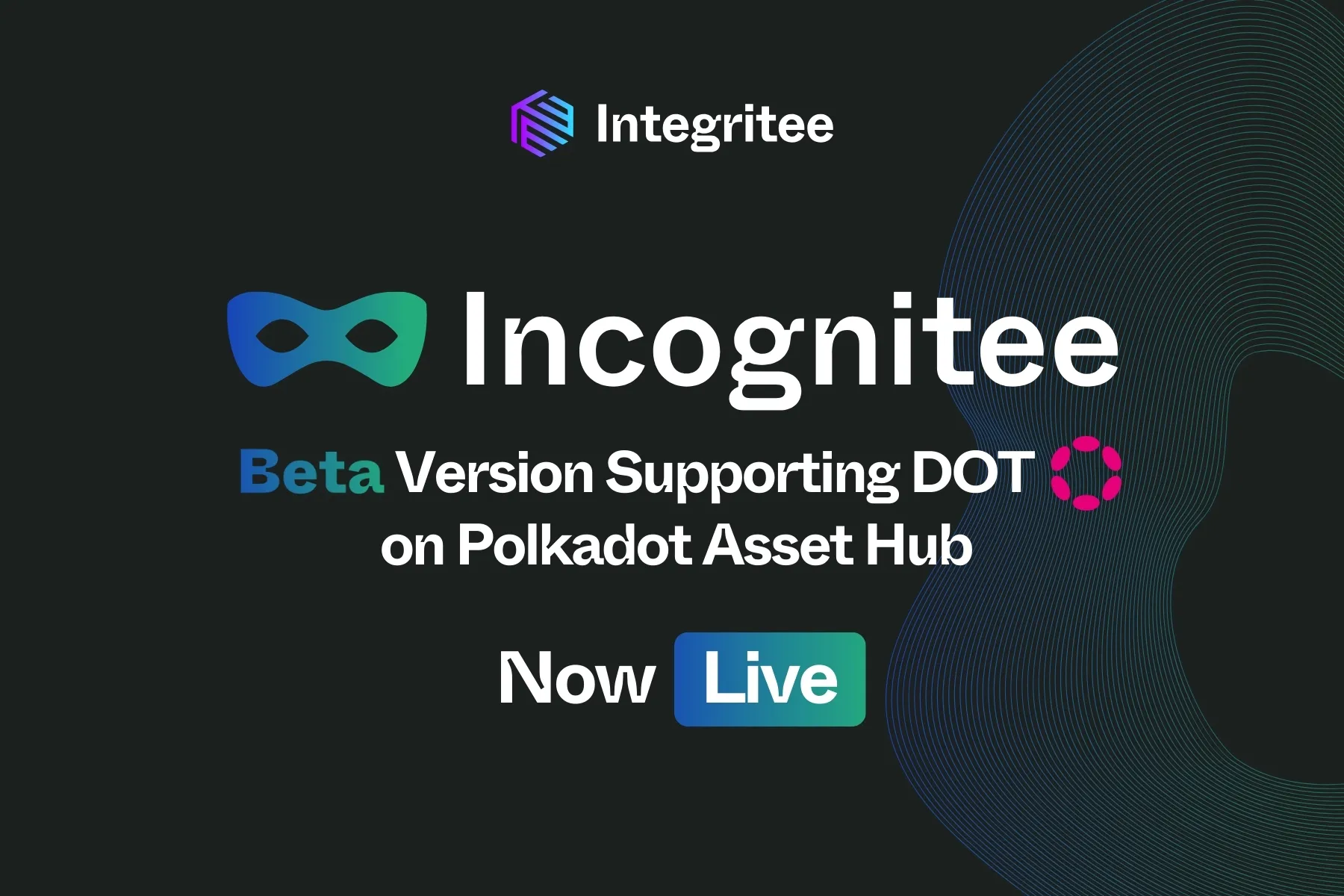 Incognitee — The Start of Full Privacy for DOT